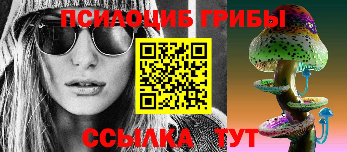 Галлюциногенные грибы прущие грибы  Псилоцибиновые грибы прущие грибы  Богданович  Вход с VPN 