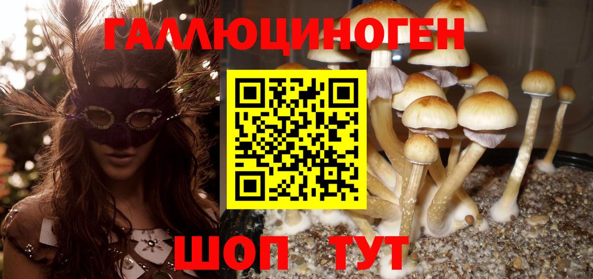 Галлюциногенные грибы ЛСД Богданович